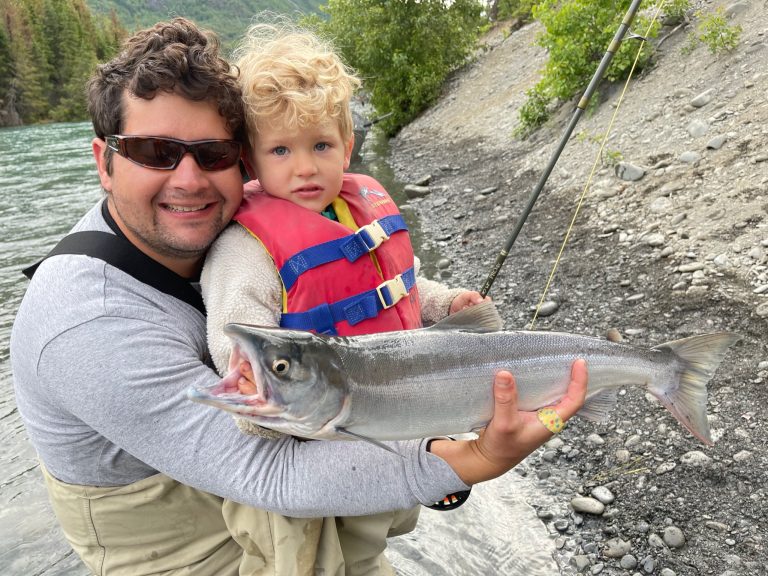 Sockeye Salmon  Sockeye, Salmon fishing, Sockeye salmon