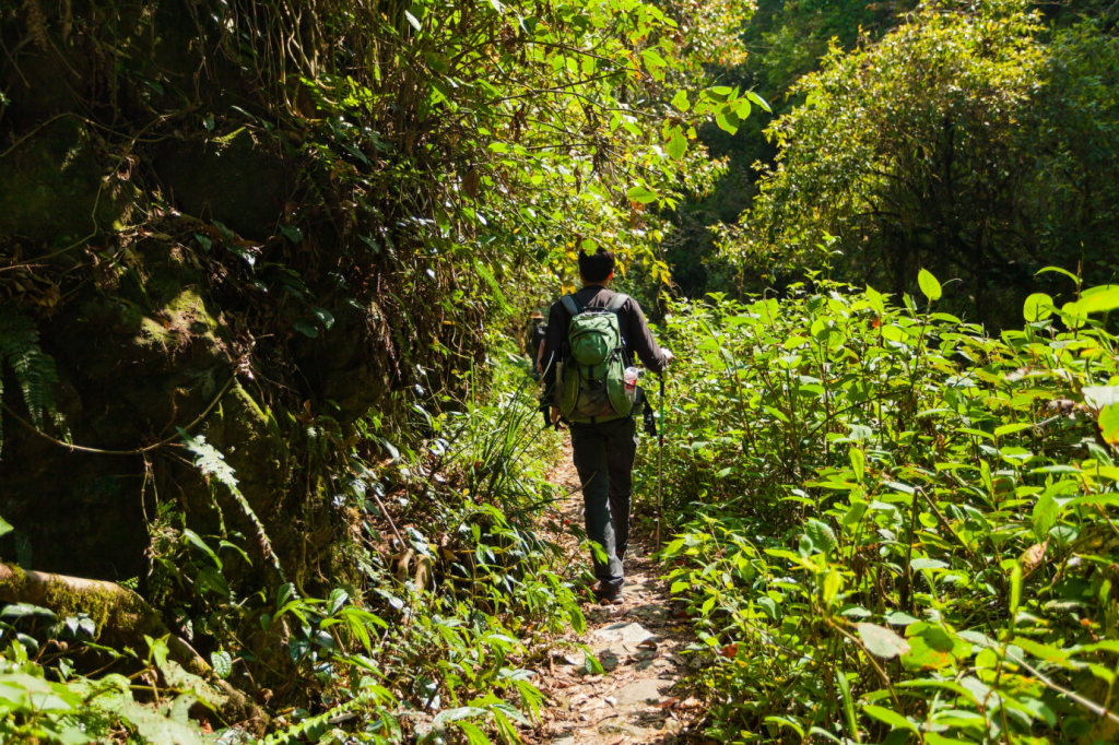 a man trekking with a green backpack