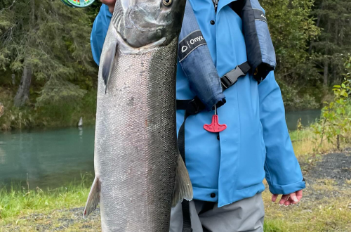 A person stands beside the Kenai River, holding up a large salmon they've caught