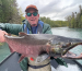 An angler holding a giant silver salmon caught in the Kenai River.