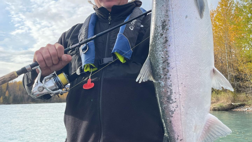 An angler holding a big silver salmon on a drift boat on the Kenai River.