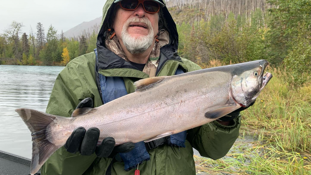 An angler holding a silver salmon on the Kenai River at Cooper Landing.