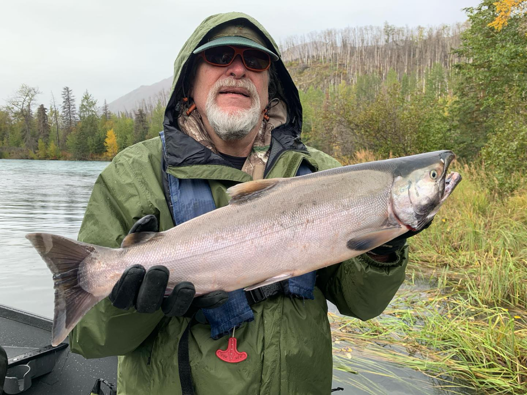 An angler holding a silver salmon on the Kenai River at Cooper Landing.