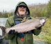 An angler holding a silver salmon on the Kenai River at Cooper Landing.