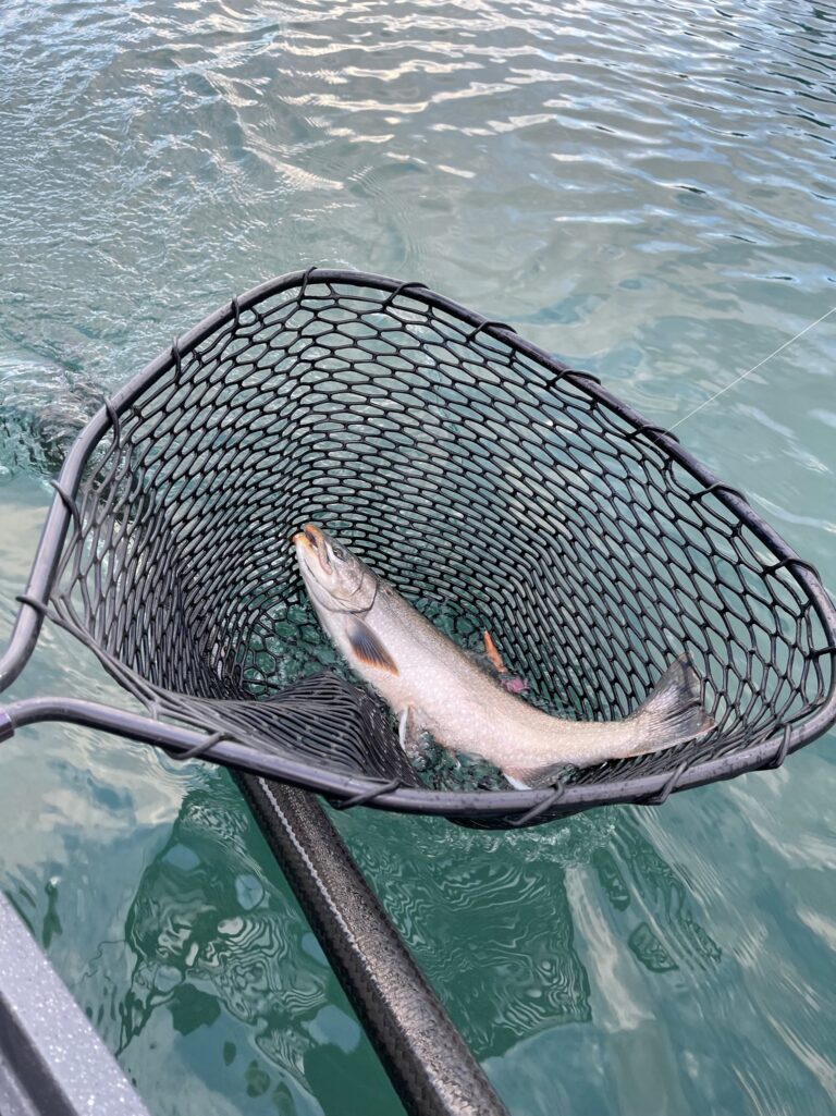 What Should I Bring On A Fly Fishing Trip