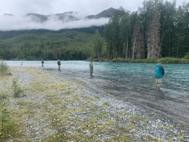fly fishing rainbow trout Anchorage, AK